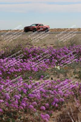 media/Jan-08-2023-SCCA SD (Sun) [[8f6a5b9391]]/Advanced Group/Session 2 (Short Straight)/